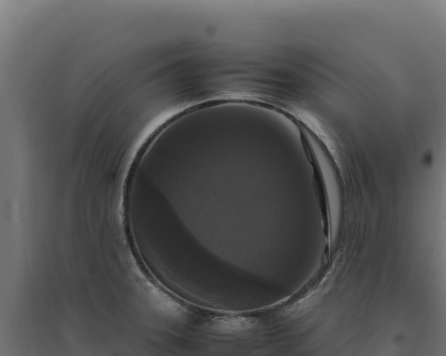 X0000094781331200711241330