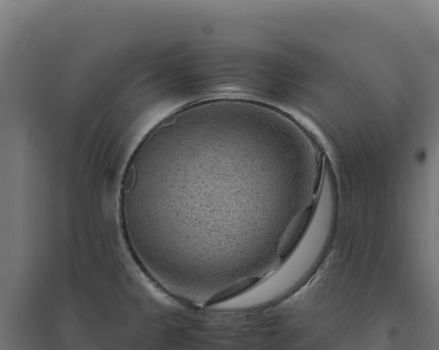 X0000094781333200711241330