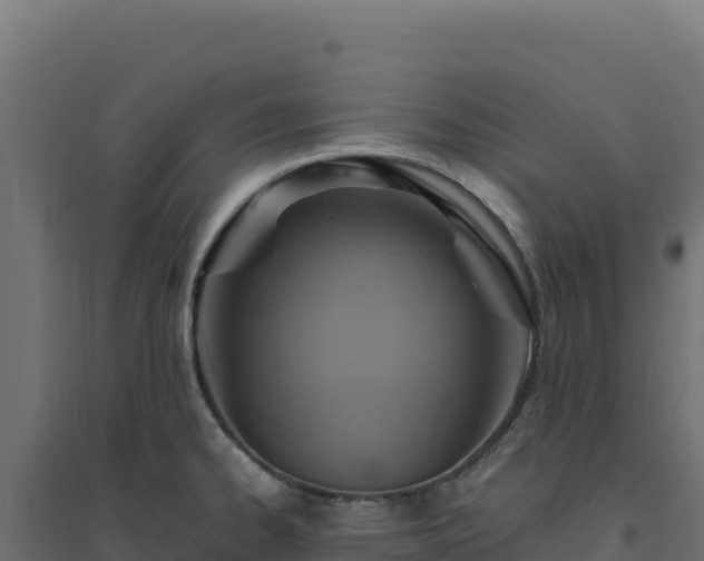 X0000094781334200711241330