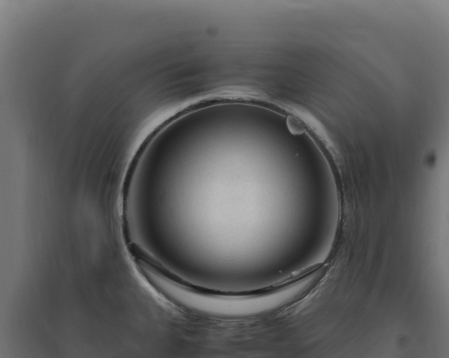 X0000094781335200711241331