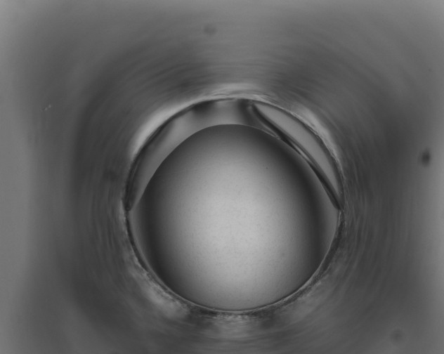 X0000094781336200711241331