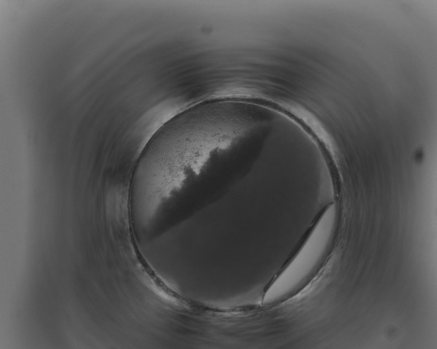 X0000094781337200711241331