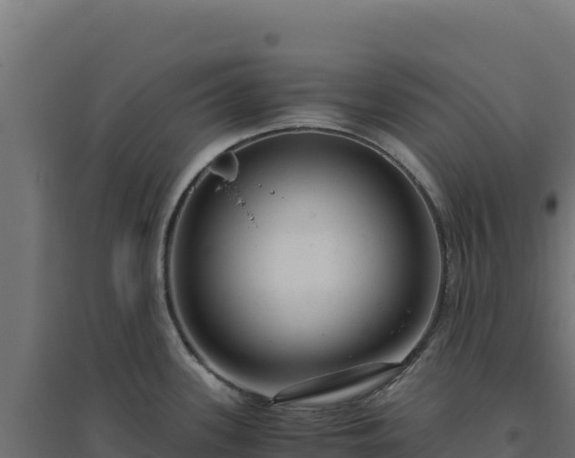 X0000094781339200711241331