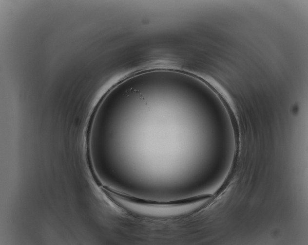 X0000094781341200711241331
