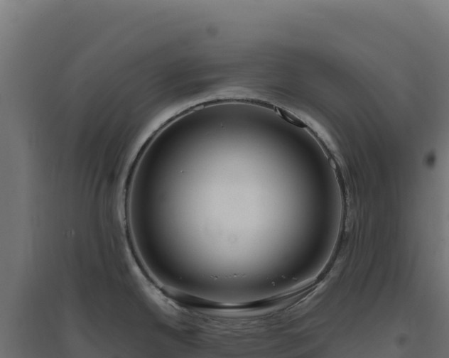 X0000094781342200711241331