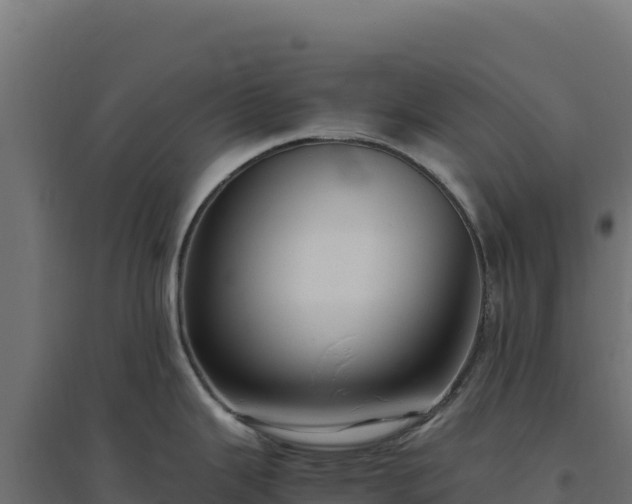 X0000094781343200711241331