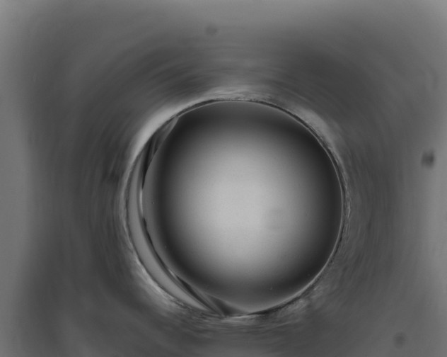 X0000094781344200711241331