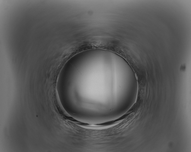 X0000094781345200711241330