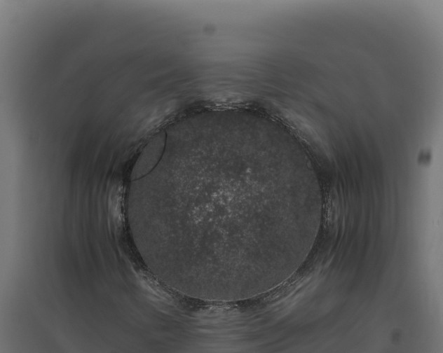 X0000094781346200711241330