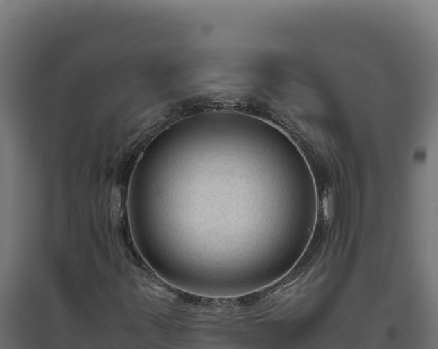 X0000094781347200711241330