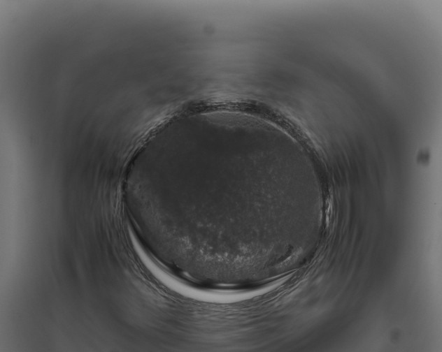 X0000094781348200711241330