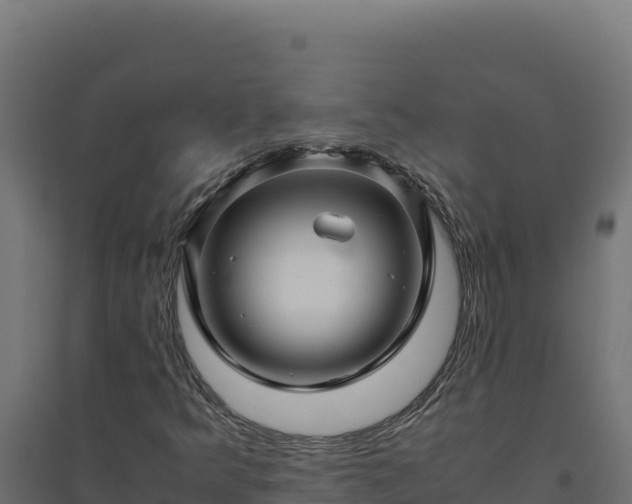X0000094781349200711241330