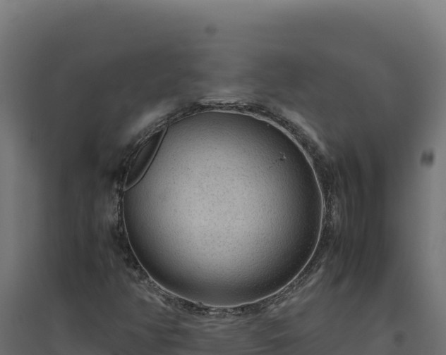 X0000094781350200711241330