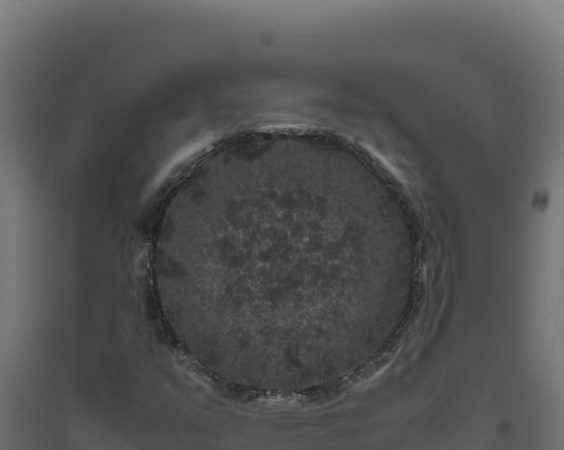 X0000094781351200711241330