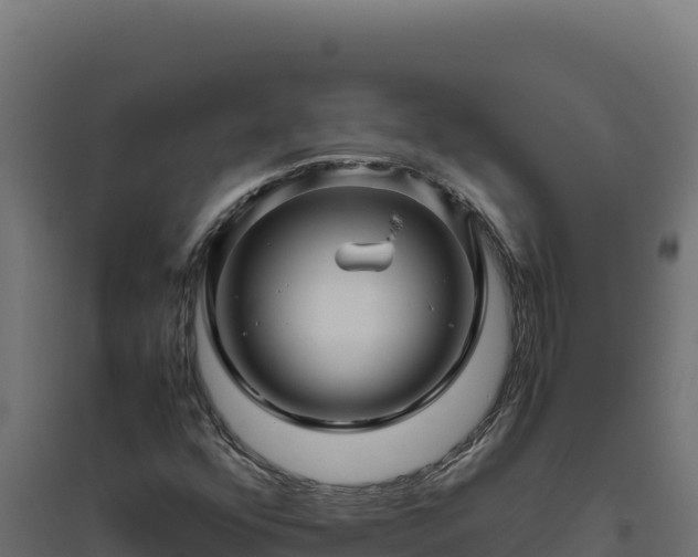 X0000094781352200711241330