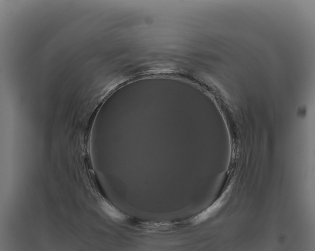 X0000094781353200711241330