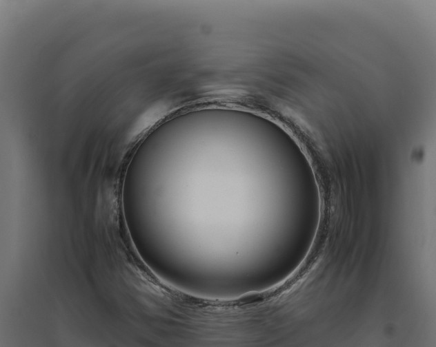 X0000094781354200711241330