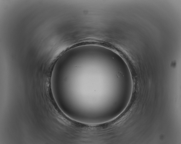 X0000094781355200711241330