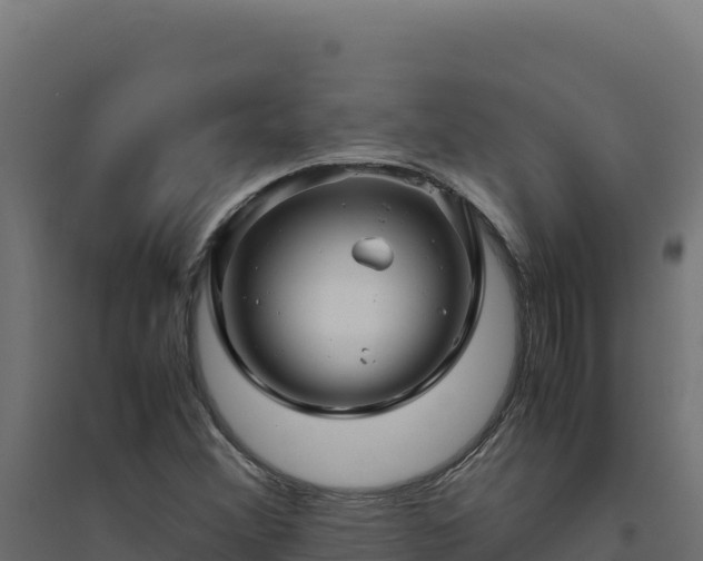X0000094781356200711241330