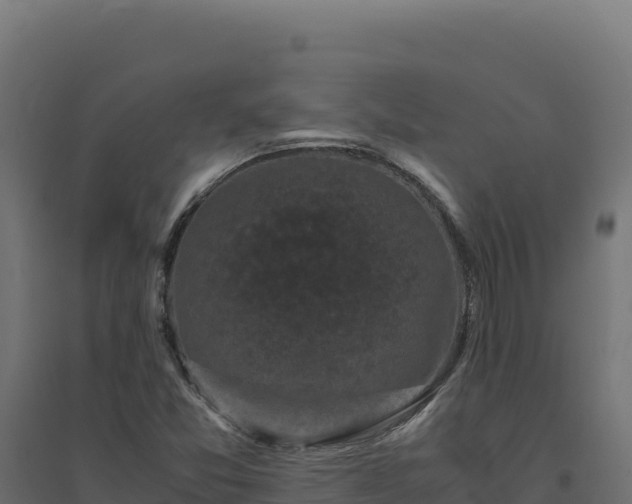 X0000094781357200711241330