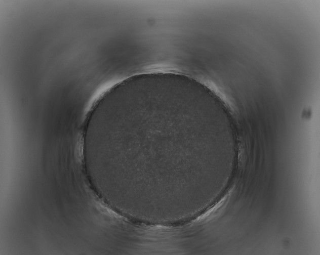 X0000094781358200711241330