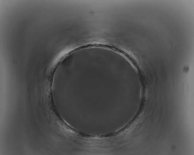 X0000094781359200711241330