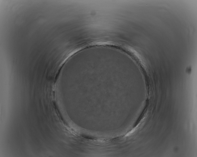 X0000094781361200711241330