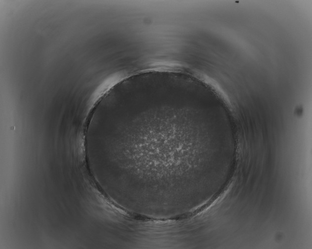 X0000094781362200711241330