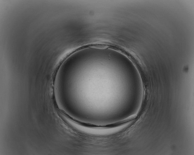 X0000094781363200711241330