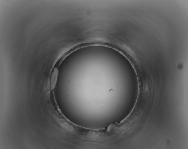 X0000094781364200711241330