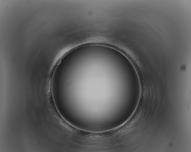 X0000094781366200711241330