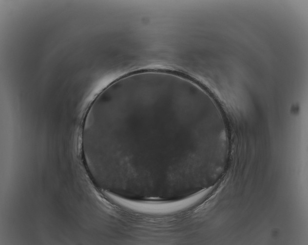 X0000094781367200711241330