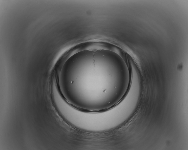 X0000094781368200711241330