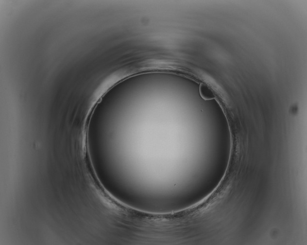 X0000094781370200711241330