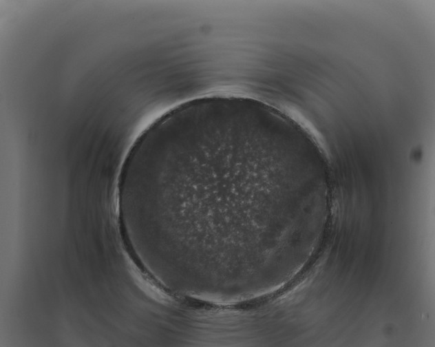 X0000094781372200711241330