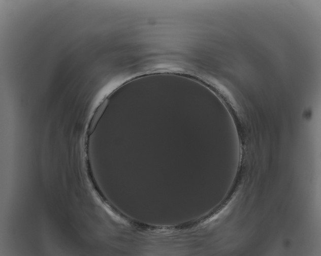 X0000094781373200711241330