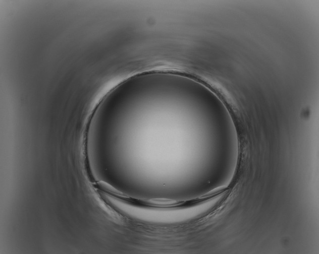 X0000094781375200711241330