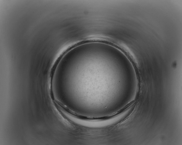X0000094781376200711241330