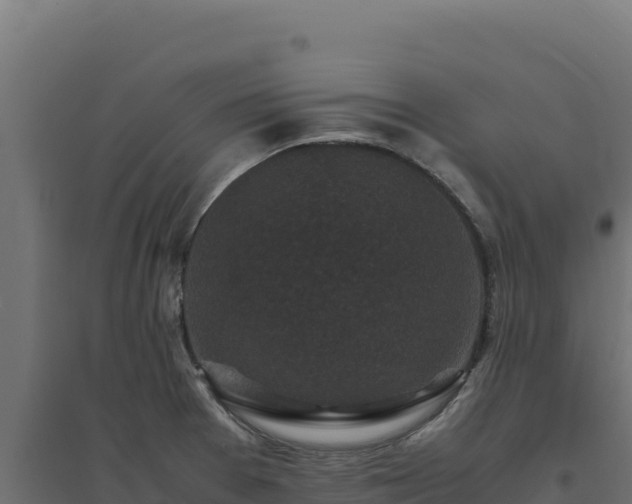 X0000094781377200711241330