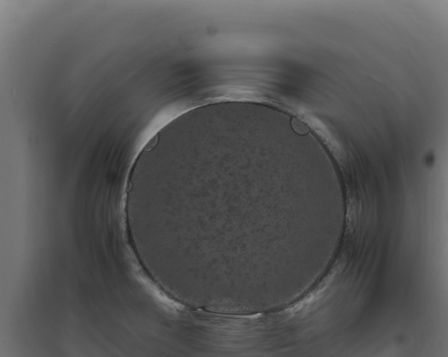 X0000094781378200711241329