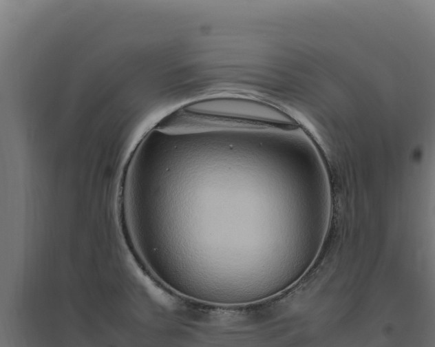 X0000094781379200711241329