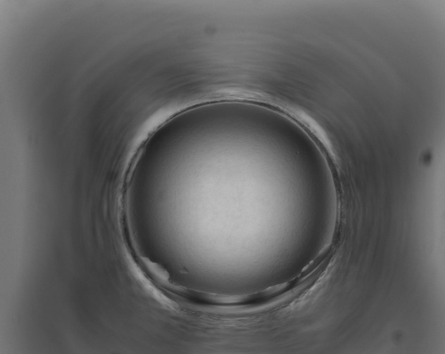 X0000094781381200711241329