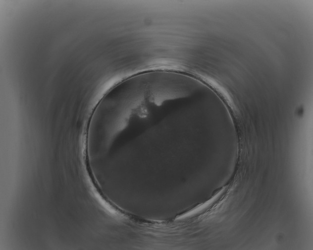 X0000094781383200711241329