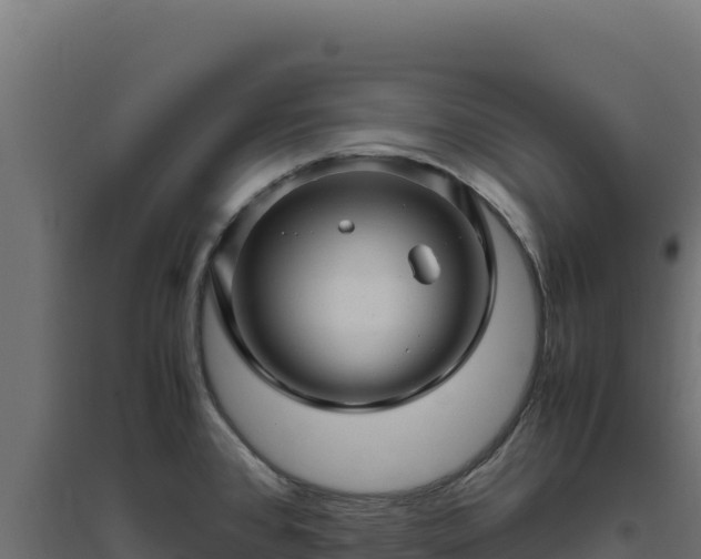 X0000094781384200711241329