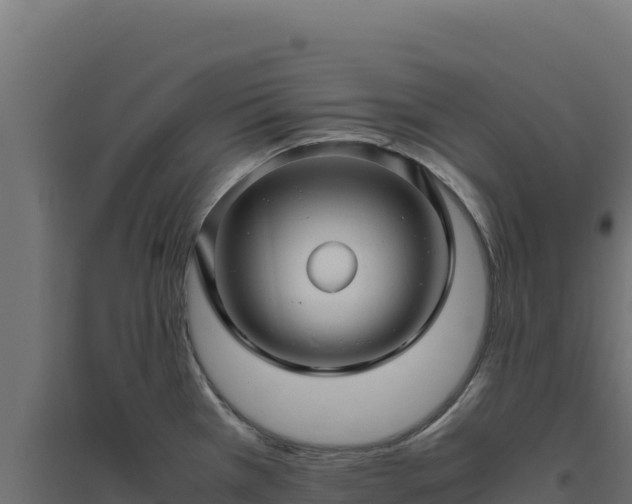 X0000094781385200711241329