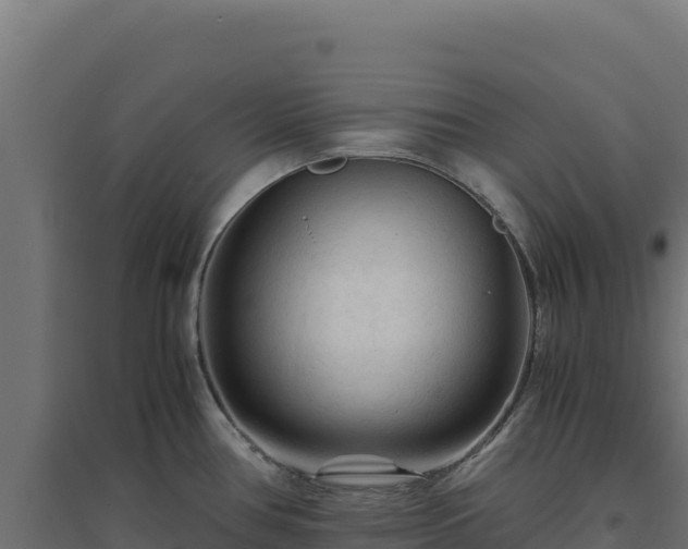 X0000094781386200711241329