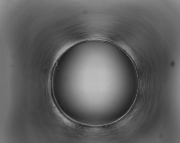 X0000094781387200711241329