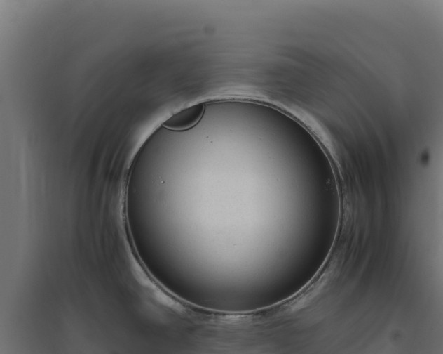 X0000094781390200711241329