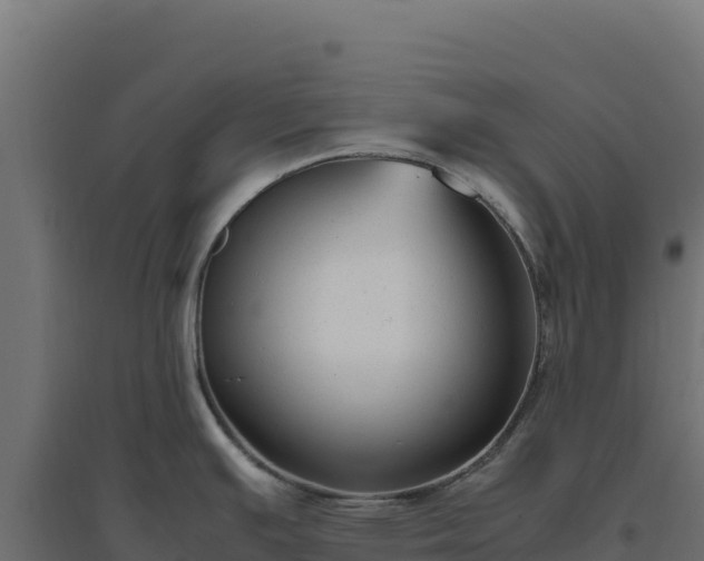 X0000094781391200711241329