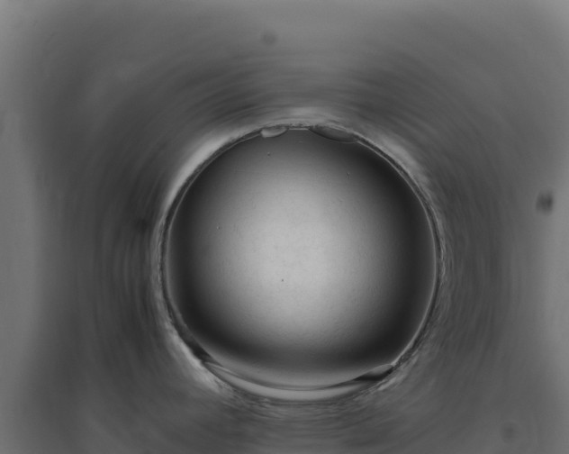 X0000094781392200711241329